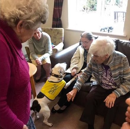 高齡老狗受盡磨難，被收養後不肯親近人類。直到主人做了這件事後... 寵物 第11張