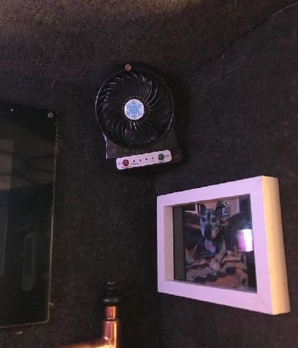 高齡老狗受盡磨難，被收養後不肯親近人類。直到主人做了這件事後... 寵物 第20張