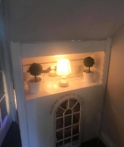 高齡老狗受盡磨難，被收養後不肯親近人類。直到主人做了這件事後... 寵物 第17張