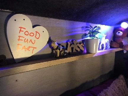 高齡老狗受盡磨難，被收養後不肯親近人類。直到主人做了這件事後... 寵物 第18張