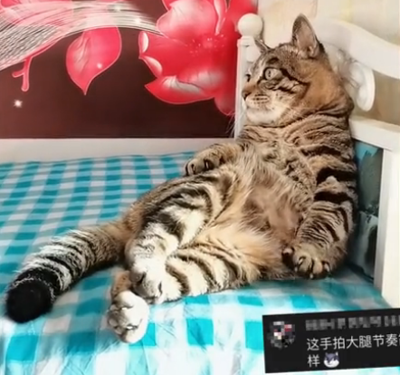 “你就是我们的家人!”-微信头条网 “你就是我们的家人!”