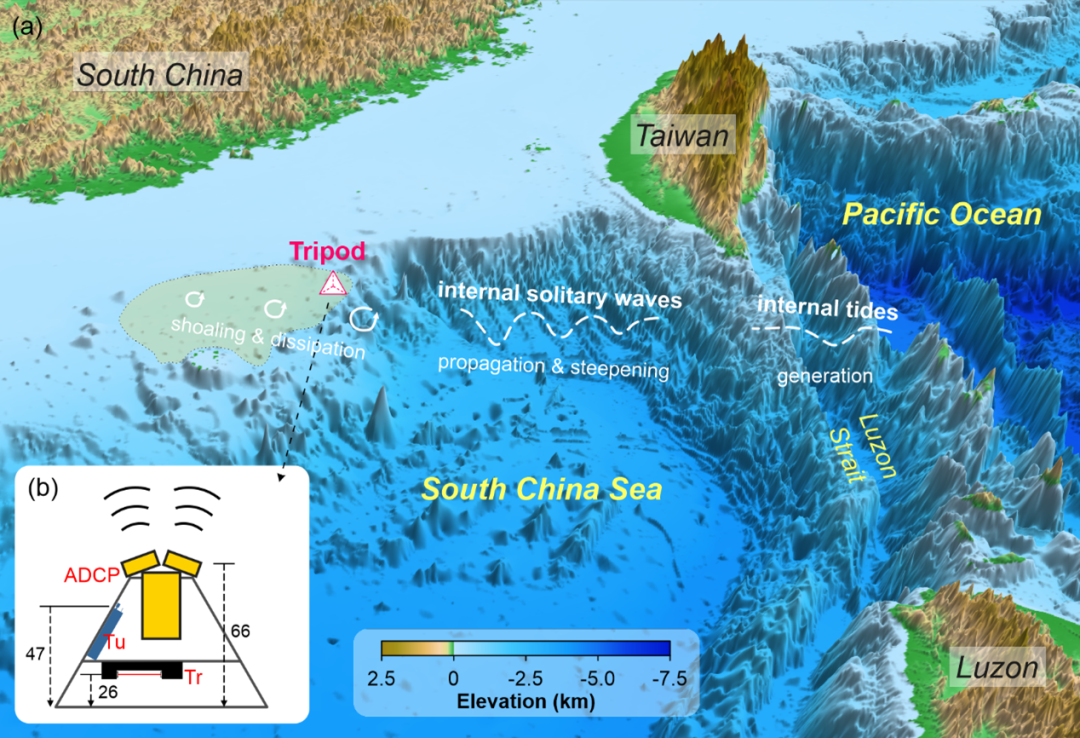 推断向海湿地地形图片