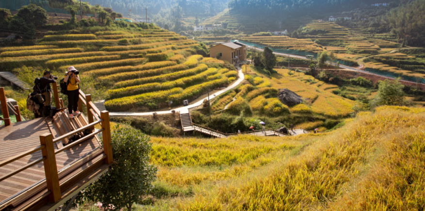 炎炎夏日怎么过?来江西崇义吧,这些主题线路中总"游"您所爱!