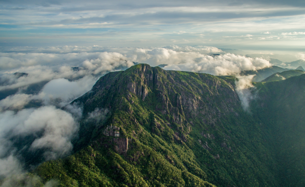 炎炎夏日怎么过?来江西崇义吧,这些主题线路中总"游"您所爱!