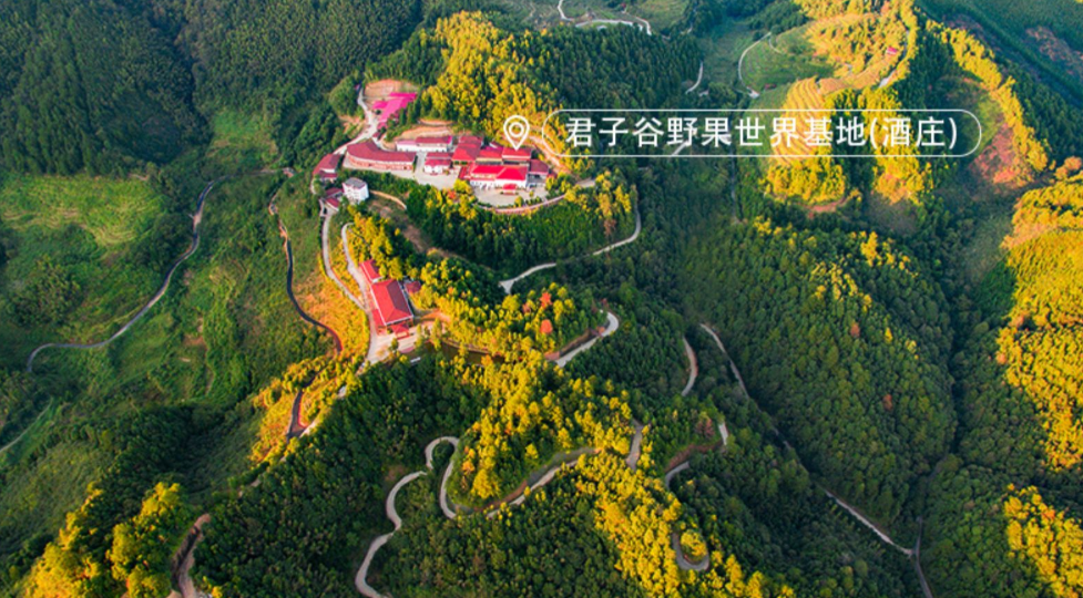 炎炎夏日怎么过?来江西崇义吧,这些主题线路中总"游"您所爱!