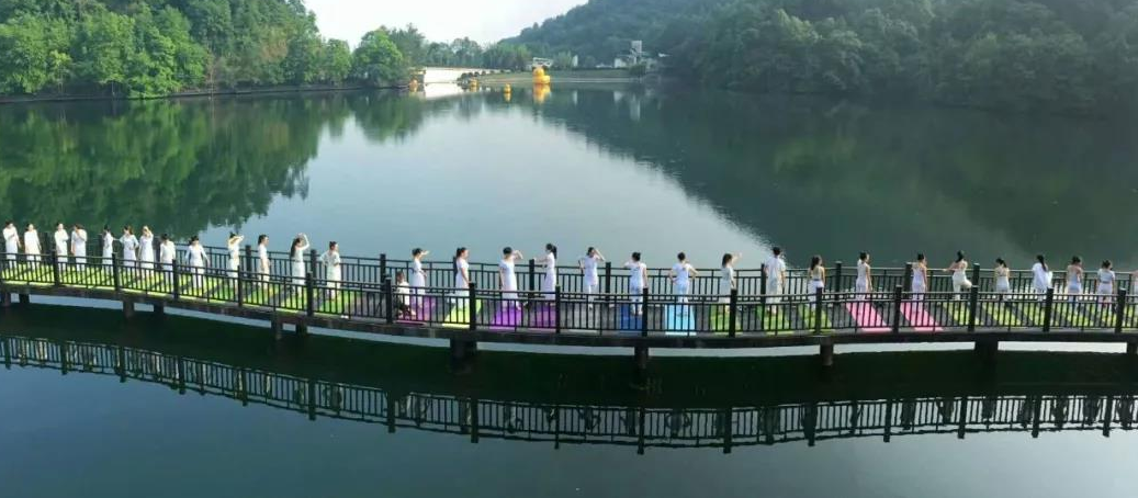 炎炎夏日怎么过?来江西崇义吧,这些主题线路中总"游"您所爱!