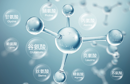 想要了解肽你得先了解氨基酸