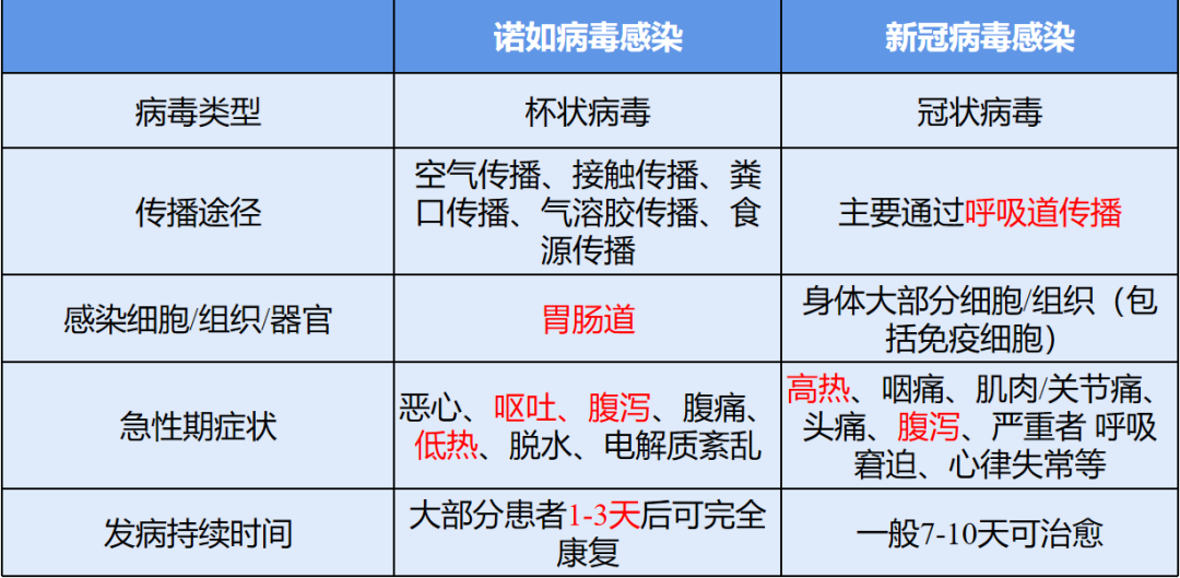 诺如病毒已进入高发期!和新冠病毒要区分!