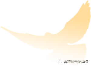 卓英软件