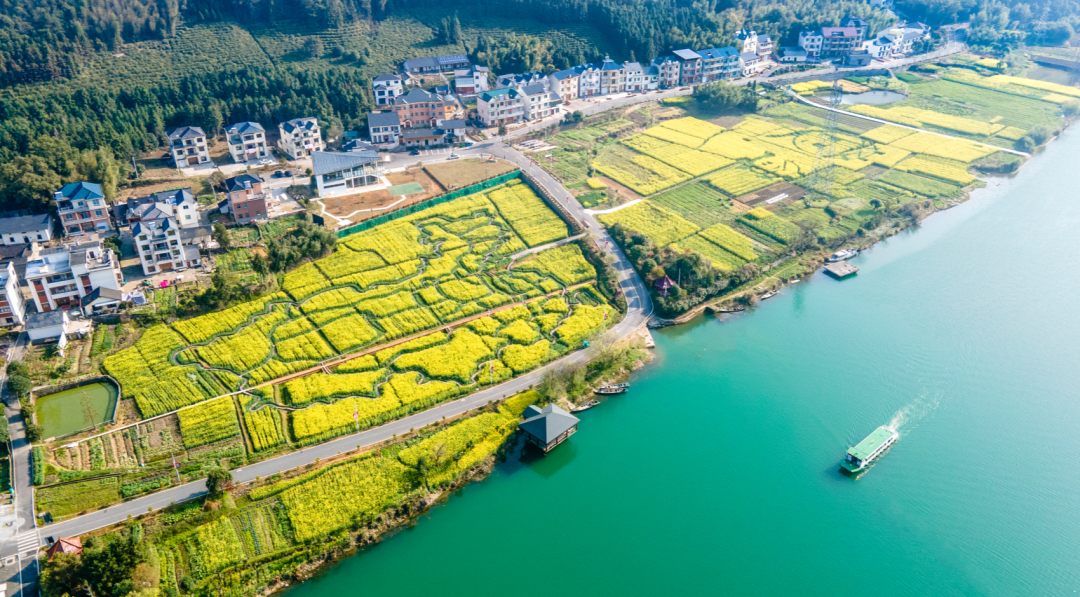 点赞常山获评浙江省实施乡村振兴战略实绩考核优秀单位