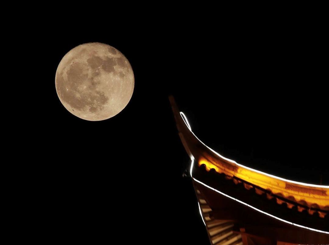 华人头条内蒙古频道Ⅱ北方朗诵今夜圆圆的月亮已挂好文衣袂飘飘处诵玄