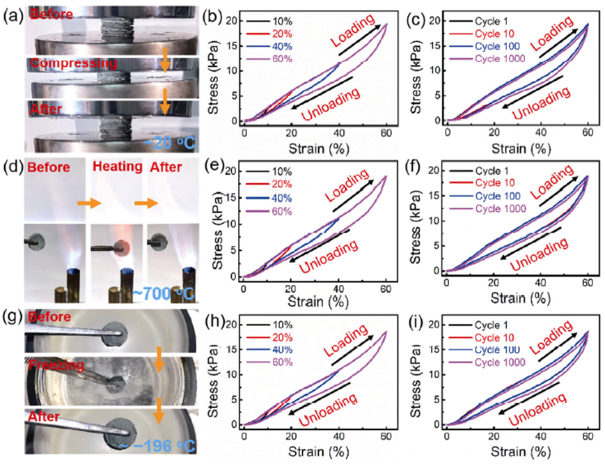 人体热量调节的法宝 —— 超轻、超弹碳化硅纳米纤维弹簧气凝胶的图5