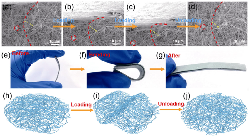 人体热量调节的法宝 —— 超轻、超弹碳化硅纳米纤维弹簧气凝胶的图6