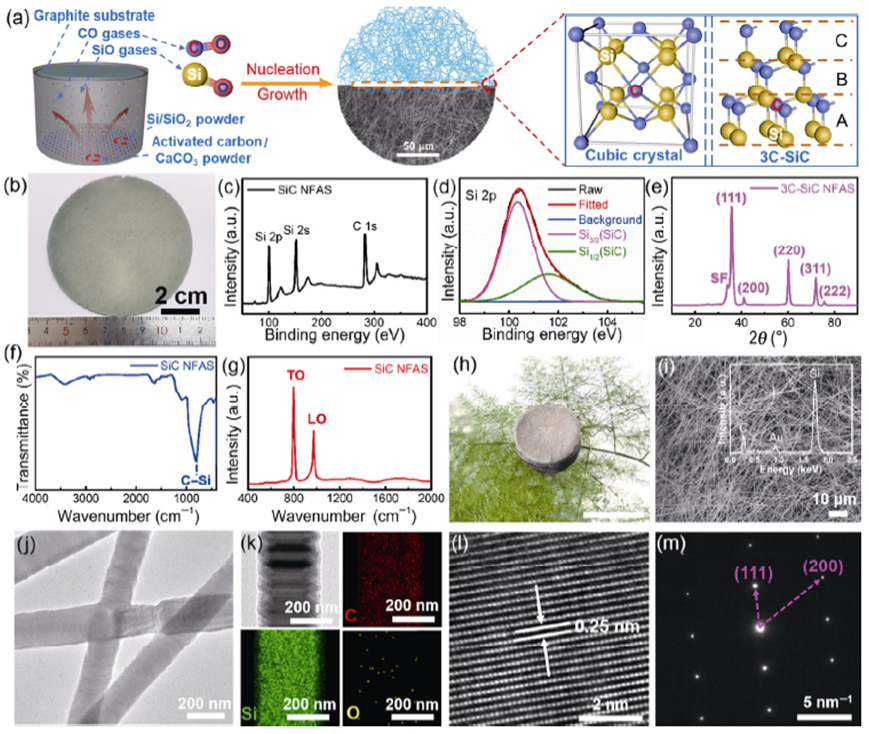 人体热量调节的法宝 —— 超轻、超弹碳化硅纳米纤维弹簧气凝胶的图4
