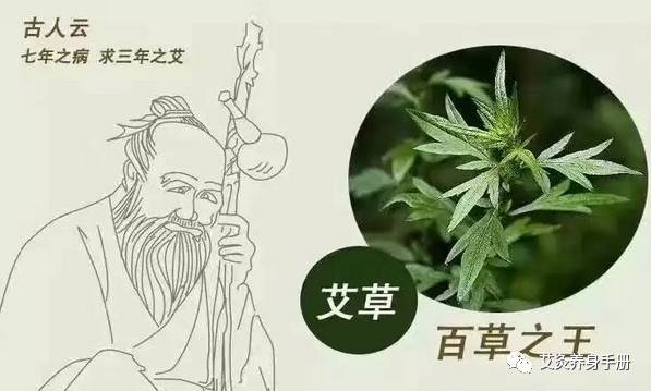 【产康艾听】用艾灸治疗女人病，10人9治！！！太实用了~