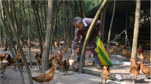 中央致富频道_中央致富经在哪个频道_中央7致富经