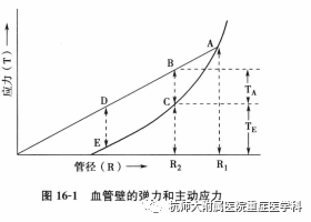 血管闭合系统是什么关于临界闭合压，你真的知道吗_https://www.jmylbn.com_新闻资讯_第4张