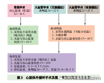 为什么用颅脑降温治疗仪重症患者的脑保护-2-亚低温治疗_https://www.jmylbn.com_新闻资讯_第12张