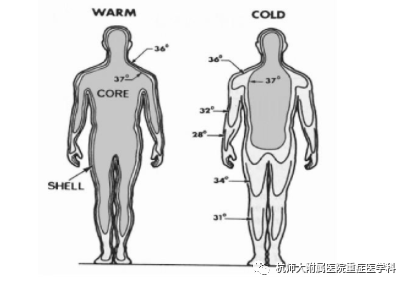 为什么用颅脑降温治疗仪重症患者的脑保护-2-亚低温治疗_https://www.jmylbn.com_新闻资讯_第3张