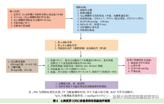 为什么用颅脑降温治疗仪重症患者的脑保护-2-亚低温治疗_https://www.jmylbn.com_新闻资讯_第11张