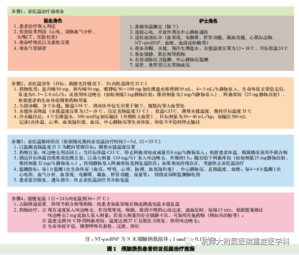 为什么用颅脑降温治疗仪重症患者的脑保护-2-亚低温治疗_https://www.jmylbn.com_新闻资讯_第10张