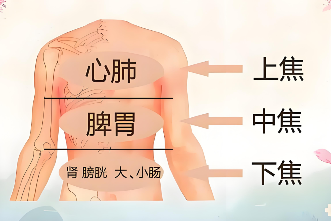 三焦不通，结节缠身！先小柴胡，再补中益气丸，双管齐下，赶走结节！
