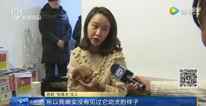 美女克隆「家人」僅花38萬，某寶克隆服務竟是真的！ 寵物 第7張