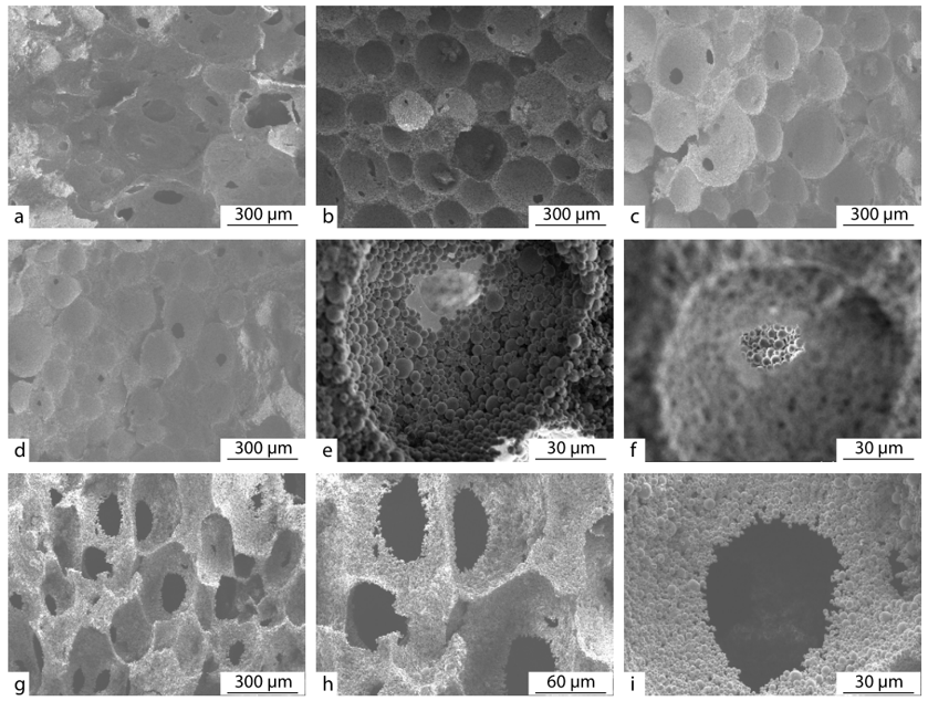 北京化工大学卢咏来教授课题组：基于凝胶多糖及泡沫模板的三维氧化铝导热复合材料的制备的图2