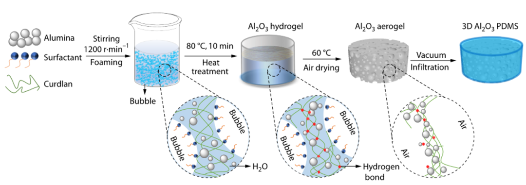 北京化工大学卢咏来教授课题组：基于凝胶多糖及泡沫模板的三维氧化铝导热复合材料的制备的图1