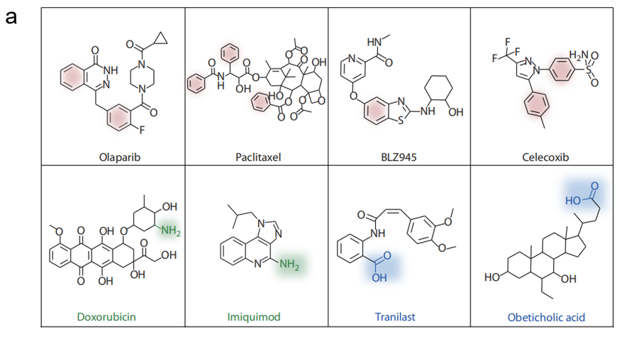东北师大邓明虓和中科院长春应化所宋万通合作：功能化两亲性聚(2-噁唑啉)高分子药物载体及其结构与载药能力之间的关系的图3