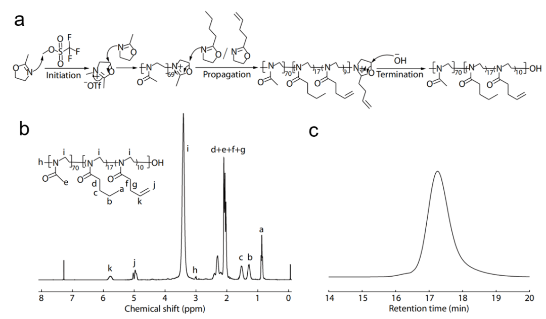 东北师大邓明虓和中科院长春应化所宋万通合作：功能化两亲性聚(2-噁唑啉)高分子药物载体及其结构与载药能力之间的关系的图1
