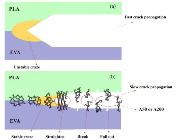 四川大学傅强教授课题组：通过添加气相二氧化硅纳米颗粒提高聚乳酸/乙烯-醋酸乙烯酯共混物的冲击韧性的图9