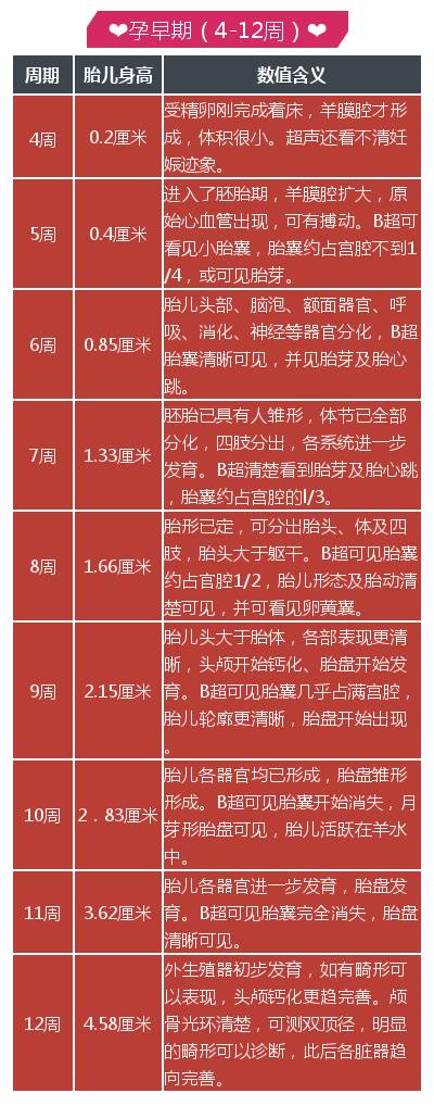 学到了吗（怀孕b超单子能造假吗）b超单可以伪造吗 第4张