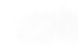 XMUMer进！吹爆了的宝藏学习网站&APP