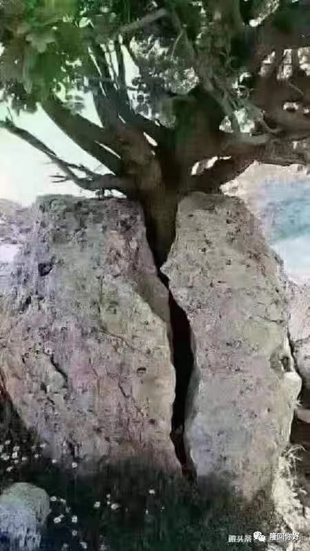 “华容晚安”删稿了！做社会公众号究竟赚了几万元？(图2)