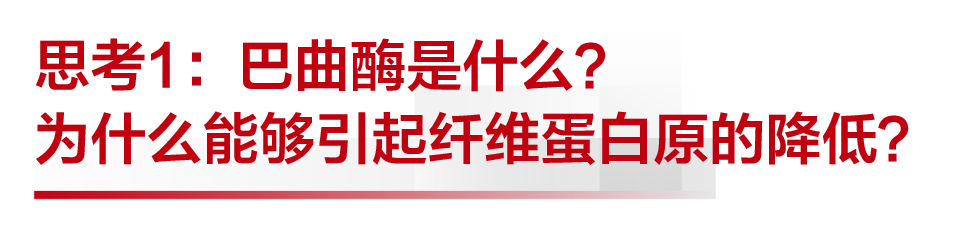 凝血全套检查什么专家看检 ｜ 同为凝血检测项目，FIB有啥不一样？_https://www.jmylbn.com_新闻资讯_第2张