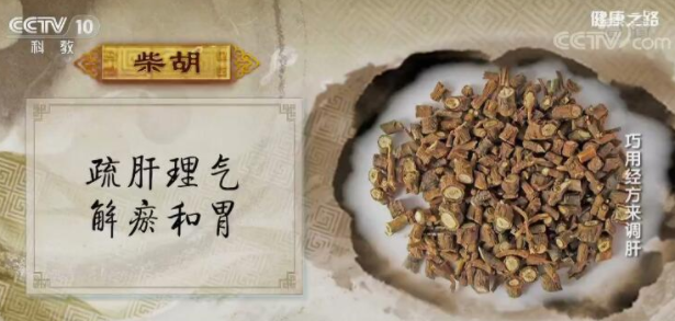 和解少阳的代表方——小柴胡汤