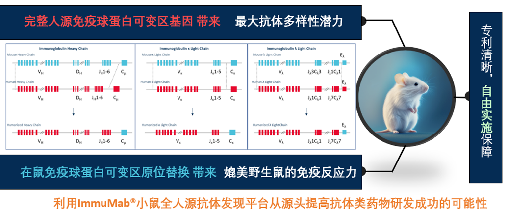 伊米诺康携手晶泰科技，以人工智能技术提升全人源抗体发现能力，全新模式助力抗体类药物研发 | 战略合作