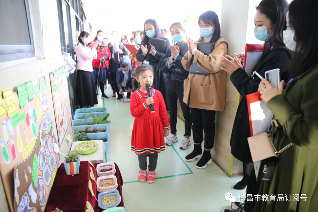 pg电子官方：许昌实验幼儿园家园携手，打造亲子种植活动新特色(图3)