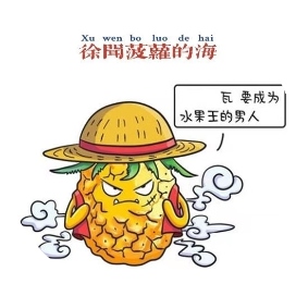 徐闻菠萝海