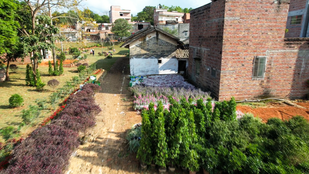 围底镇:全面推进"百千万工程"示范村建设 绘就美丽乡村新图景-罗定市