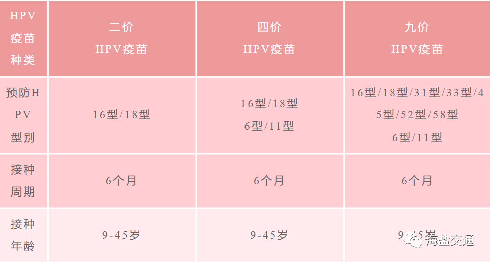 成都市小升初大摇号小摇号政策_抽奖摇号小程序 c语言_摇号小程序