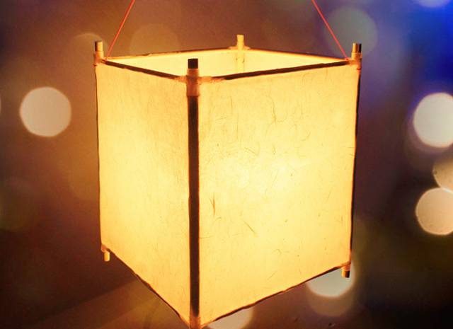 元旦特辑解密古法造纸术制作心仪花草纸新春灯笼diy1月1日下午