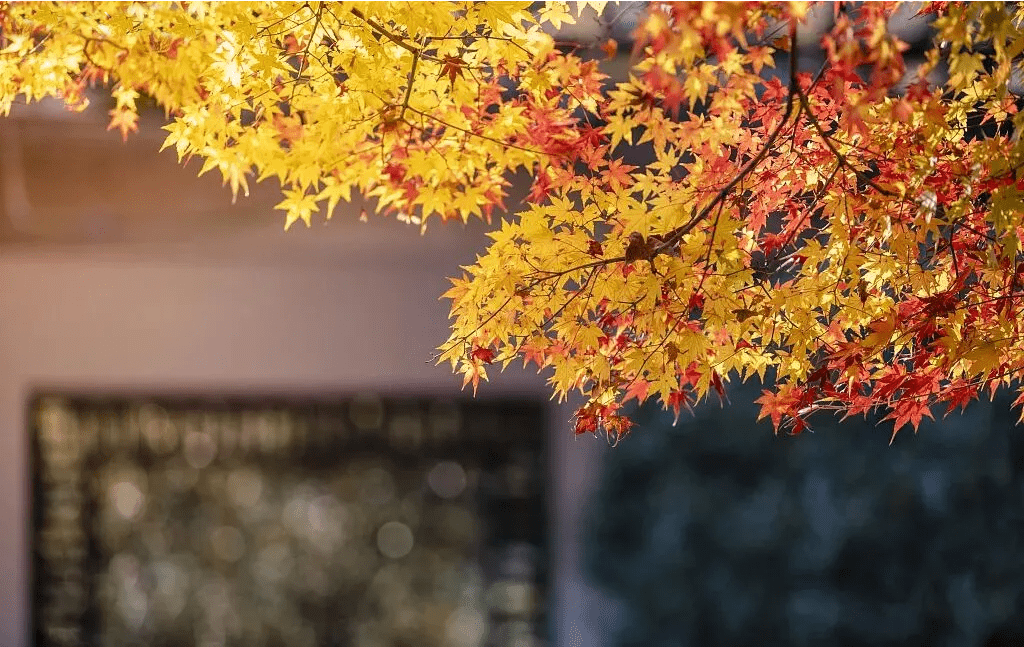 做人无舍，必无所得！（深度）（人无所舍必无所成）