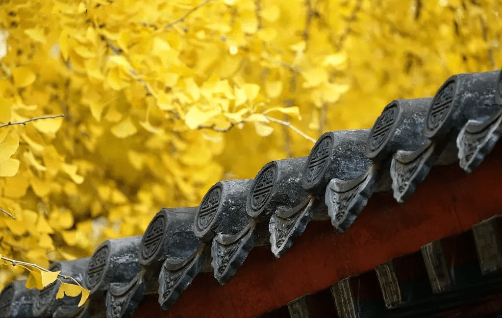 做人无舍，必无所得！（深度）（人无所舍必无所成）