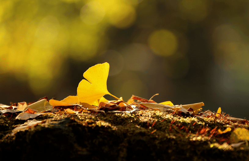 做人无舍，必无所得！（深度）（人无所舍必无所成）