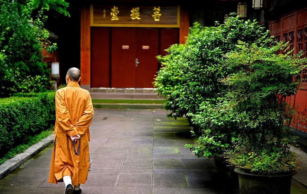 做人无舍，必无所得！（深度）（人无所舍必无所成）