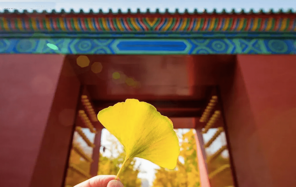 做人无舍，必无所得！（深度）（人无所舍必无所成）