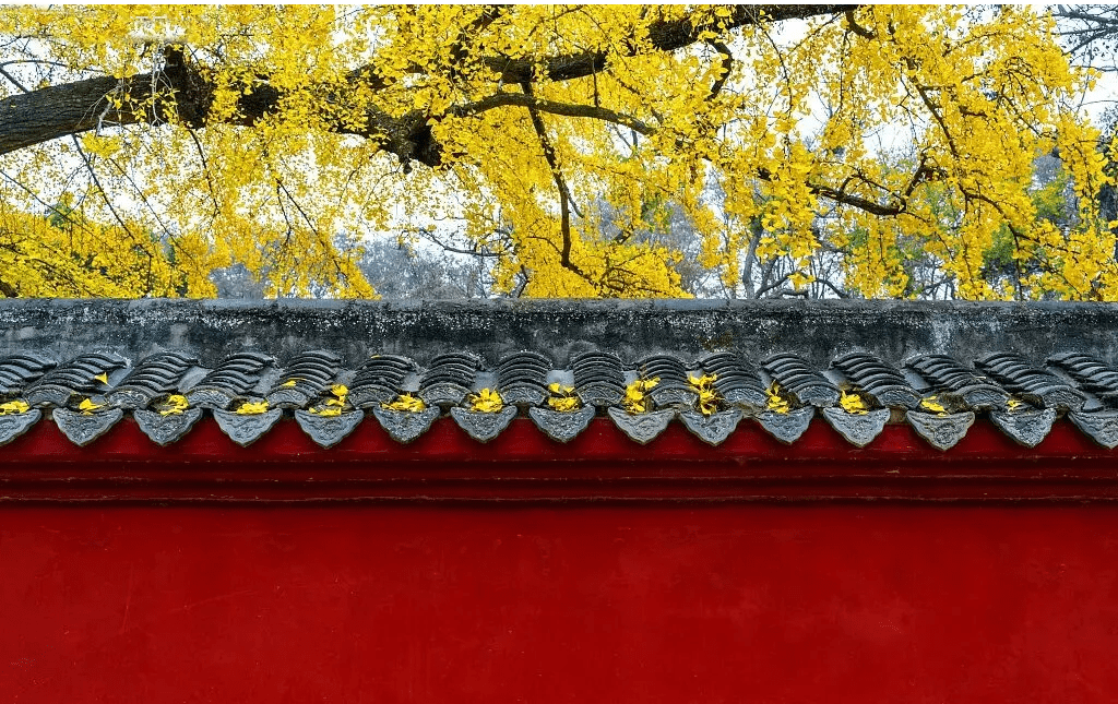 做人无舍，必无所得！（深度）（人无所舍必无所成）