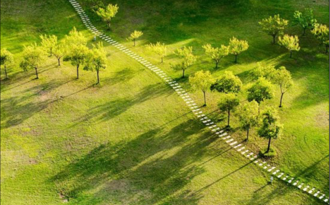 618进入倒计时 为何电器市场至今还是静悄悄